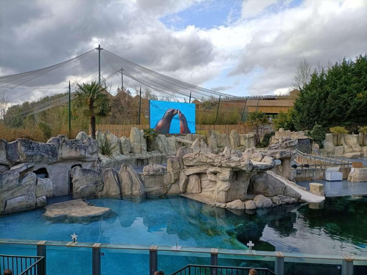 Gite Climatise Villa Esperanza 2 A 5 Personnes Proche Zoo De Beauval Et Chateaux Valençay Exteriör bild
